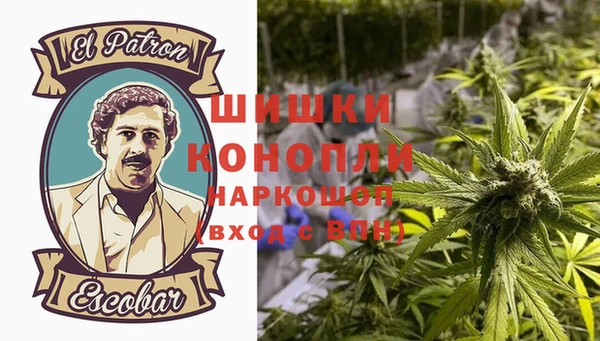 тгк Вяземский