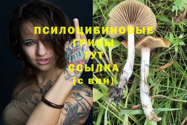 PSILOCYBIN Володарск