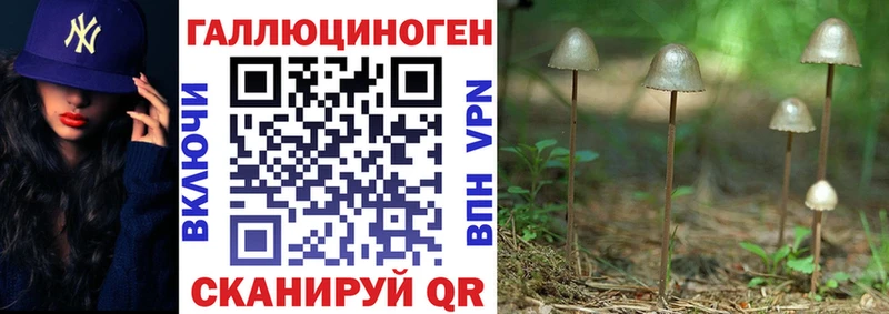 Псилоцибиновые грибы ЛСД  закладка  Калуга 